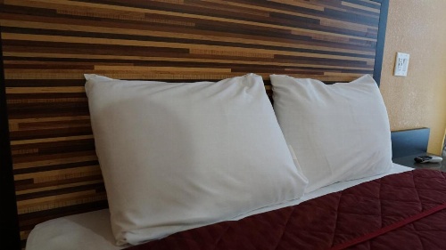 Holly Crest Hotel - Los Angeles, LAX Airport image 10